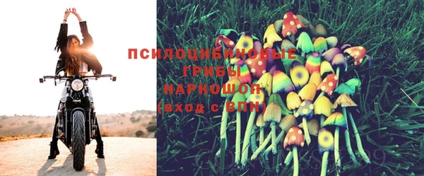 MDMA Осинники