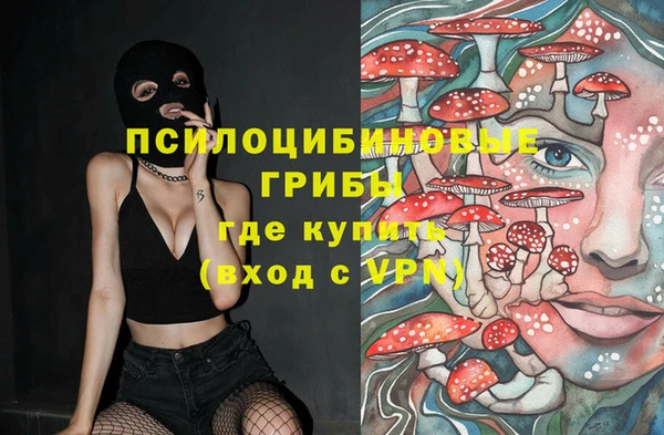 скорость Пестово