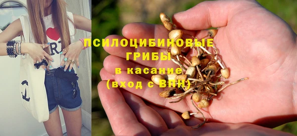 скорость Пестово