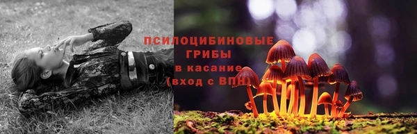 mdpv Пересвет