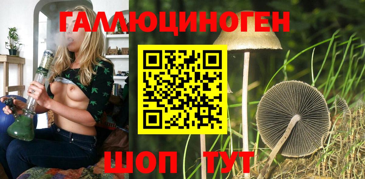 Псилоцибиновые грибы прущие грибы Ржев