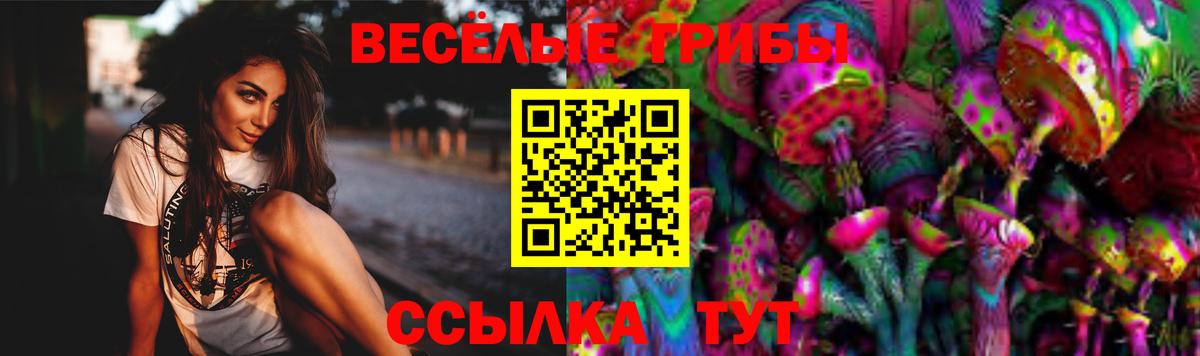 сколько стоит  Вход с VPN  Ржев  Галлюциногенные грибы Psilocybe  Галлюциногенные грибы Cubensis 